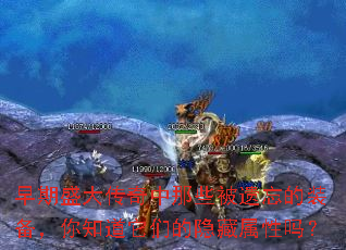 ����ʢ��������Щ��������װ������֪�����ǵ�����������