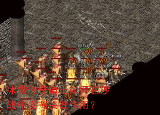 ��ѩ�����ʿ�����ɳս�з��ӹؼ����ã�