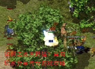 ��λ��ܺ�Ұ����������ҷ���������Ϸ����