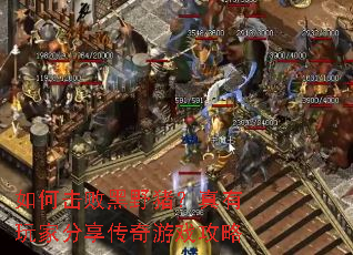 ��λ��ܺ�Ұ����������ҷ���������Ϸ����