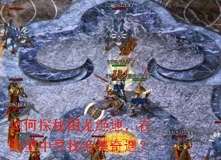 ���̽���������أ��ھ�����Ѱ�Ҿ���������