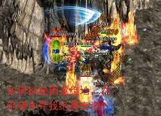 ���̽���������أ��ھ�����Ѱ�Ҿ���������