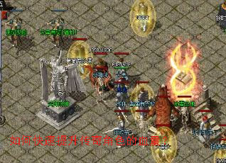 ��ο������������ɫ��Ѫ����