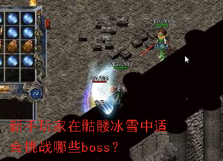 ������������ñ�ѩ���ʺ���ս��Щboss��