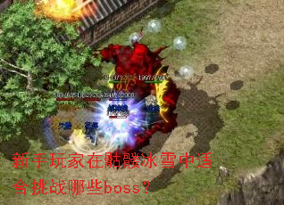 ������������ñ�ѩ���ʺ���ս��Щboss��