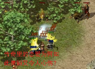 �����������Ϊ������������������ˣ�