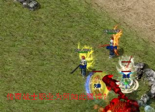 ����սʿְҵΪ�����������