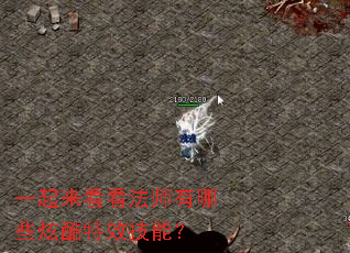 һ����������ʦ����Щ�ſ���Ч���ܣ�