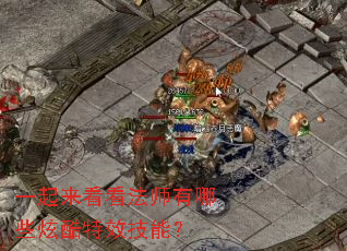 һ����������ʦ����Щ�ſ���Ч���ܣ�