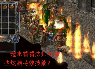 һ����������ʦ����Щ�ſ���Ч���ܣ�