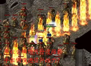 �������ش����ѷ�������ο�������ս����