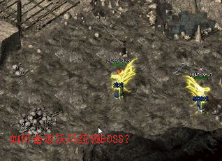 ��λ�������ͳ��BOSS��