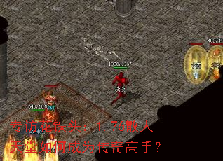 ר�û���ͷ��1.76ɢ��������γ�Ϊ������֣�