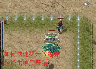 ��ο��������ȼ������ɻ��ܺ�Ұ����