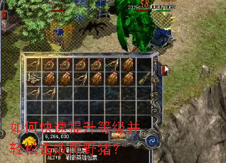 ��ο��������ȼ������ɻ��ܺ�Ұ����