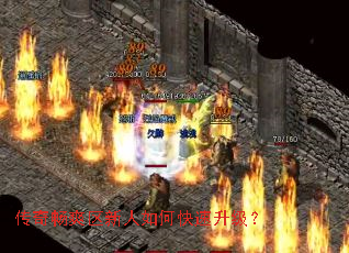 ���泩ˬ��������ο���������