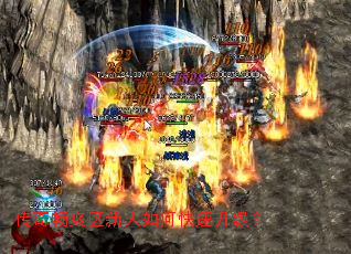 ���泩ˬ��������ο���������