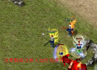 ���泩ˬ��������ο���������