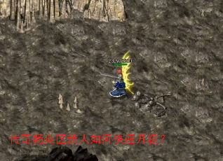 ���泩ˬ��������ο���������