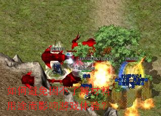 ��α������˽������;��Ӱ����Ϸ���飿