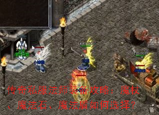 ����˽����ʦװ�����ԣ�ħ�ȡ�ħ��ʯ��ħ�������ѡ��