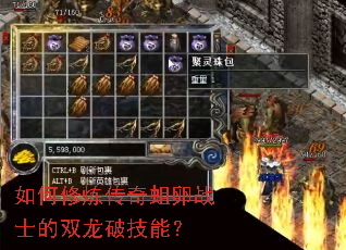 ���������������սʿ��˫���Ƽ��ܣ�