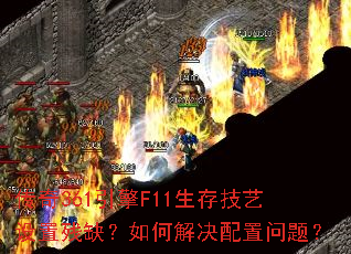 ����361����F11���漼�����ò�ȱ����ν���������⣿