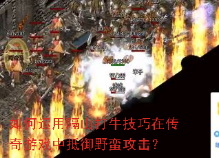 ������ø�ɽ��ţ�����ڴ�����Ϸ�е���Ұ��������