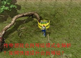 ������Ϸ��Ա�ȼ�ģʽȫ��������ο���������Ա�ȼ���