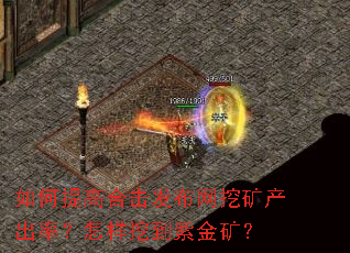 �����ߺϻ��������ڿ�����ʣ������ڵ��Ͻ��