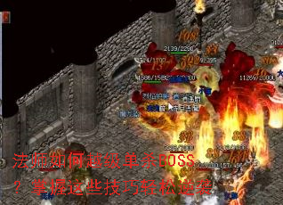 ��ʦ���Խ����ɱBOSS��������Щ����������Ϯ