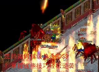 ��ʦ���Խ����ɱBOSS��������Щ����������Ϯ