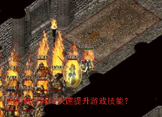 ���ͨ����ʦ����������Ϸ���ܣ�