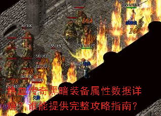 ��Ѫ����ڰ�װ������������⣿˭���ṩ��������ָ�ϣ�