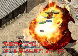 ��Ѫ����ڰ�װ������������⣿˭���ṩ��������ָ�ϣ�