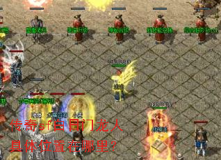 ����sf���������˾���λ�������