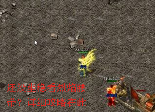 ��û���ȿ�������������ϸ�����ڴ�