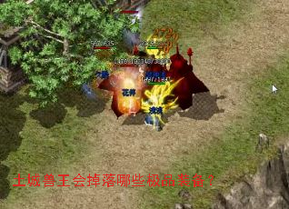 ���������������Щ��Ʒװ����