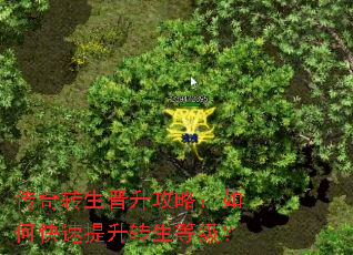 ����ת���������ԣ���ο�������ת���ȼ���