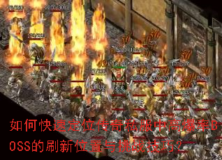 ��ο��ٶ�λ����˽���и߱���BOSS��ˢ��λ������ս���ɣ�