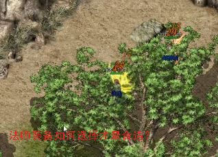 ��ʦװ�����ѡ�������ʣ�