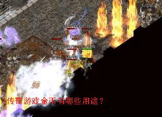 ������Ϸ�������Щ��;��