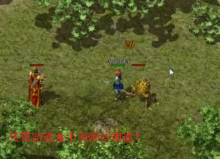 ������Ϸ�������Щ��;��