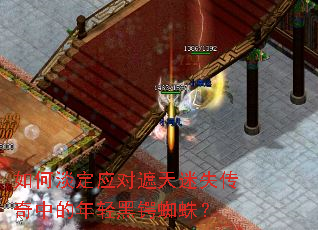 ��ε���Ӧ��������ʧ�����е��������֩�룿