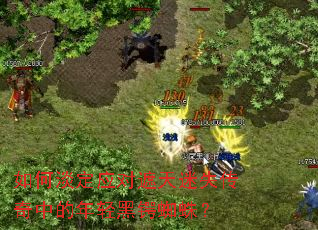 ��ε���Ӧ��������ʧ�����е��������֩�룿