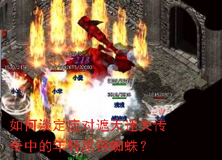 ��ε���Ӧ��������ʧ�����е��������֩�룿