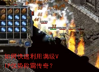 ��ο�����������VIP���ƳưԴ��棿