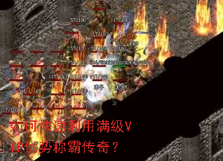 ��ο�����������VIP���ƳưԴ��棿