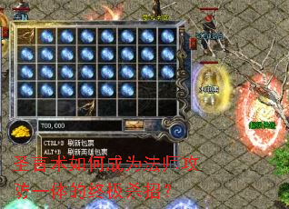 ʥ������γ�Ϊ��ʦ����һ����ռ�ɱ�У�