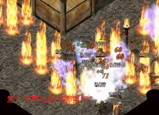 ���Ŵ��漼���������